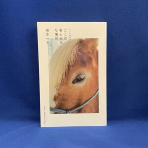 植本一子／『ここは安心安全な場所』