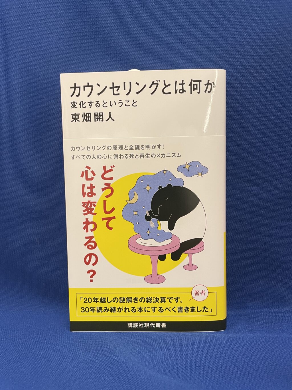 東畑開人『カウンセリングとはなにか　変化するということ』講談社現代新書
