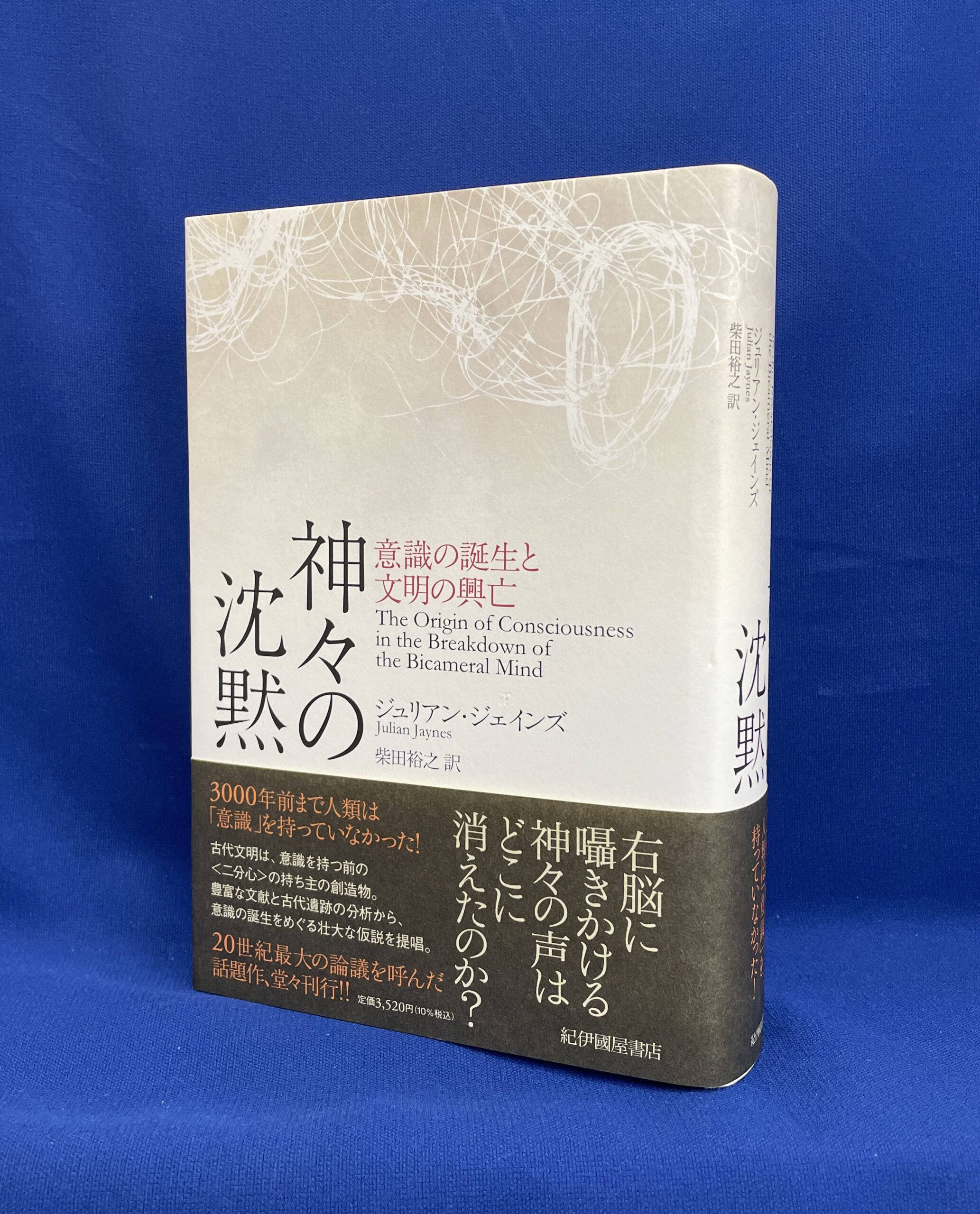 神々の沈黙 意識の誕生と文明の興亡